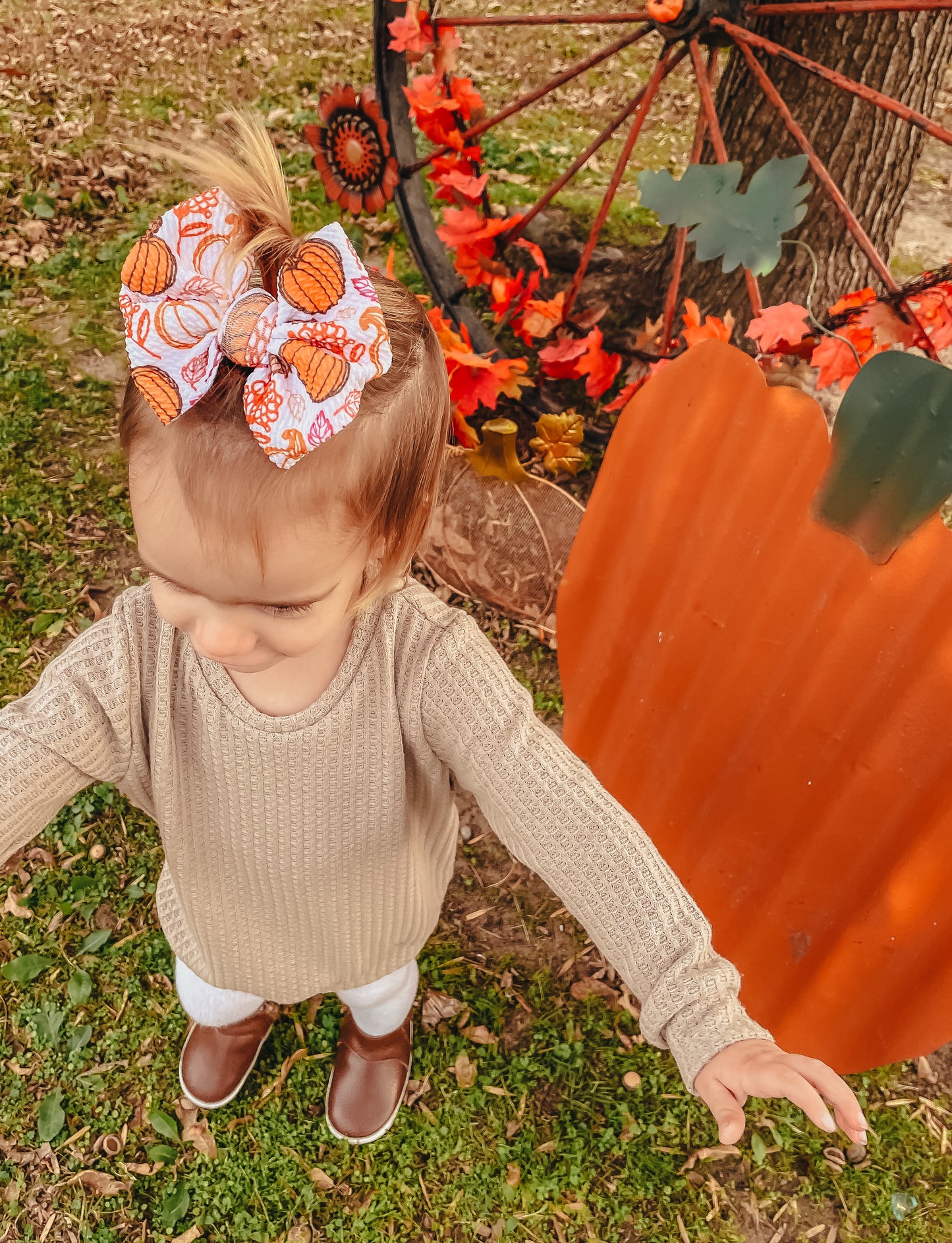 Pumpkin Harvest Bows